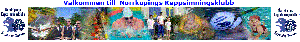 /Gallery/2013/11/skarmklipp-300x42.gif